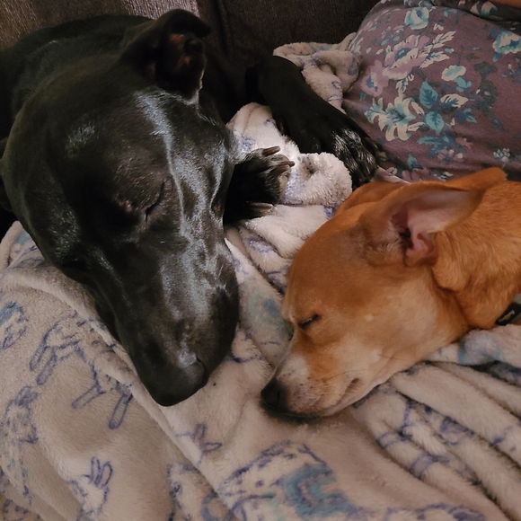 💐Meet Mylissa! Mom, Wife, Floral Designer, Business Owner 💐 - Picture 14 of 16